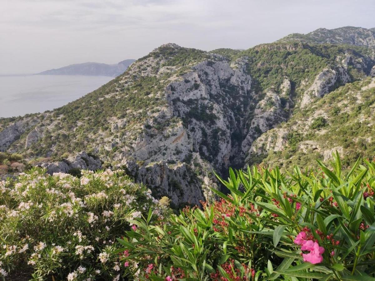 Hotel Turismo Rurale Villa Maria Caterina กาลาโกโนเน ภายนอก รูปภาพ