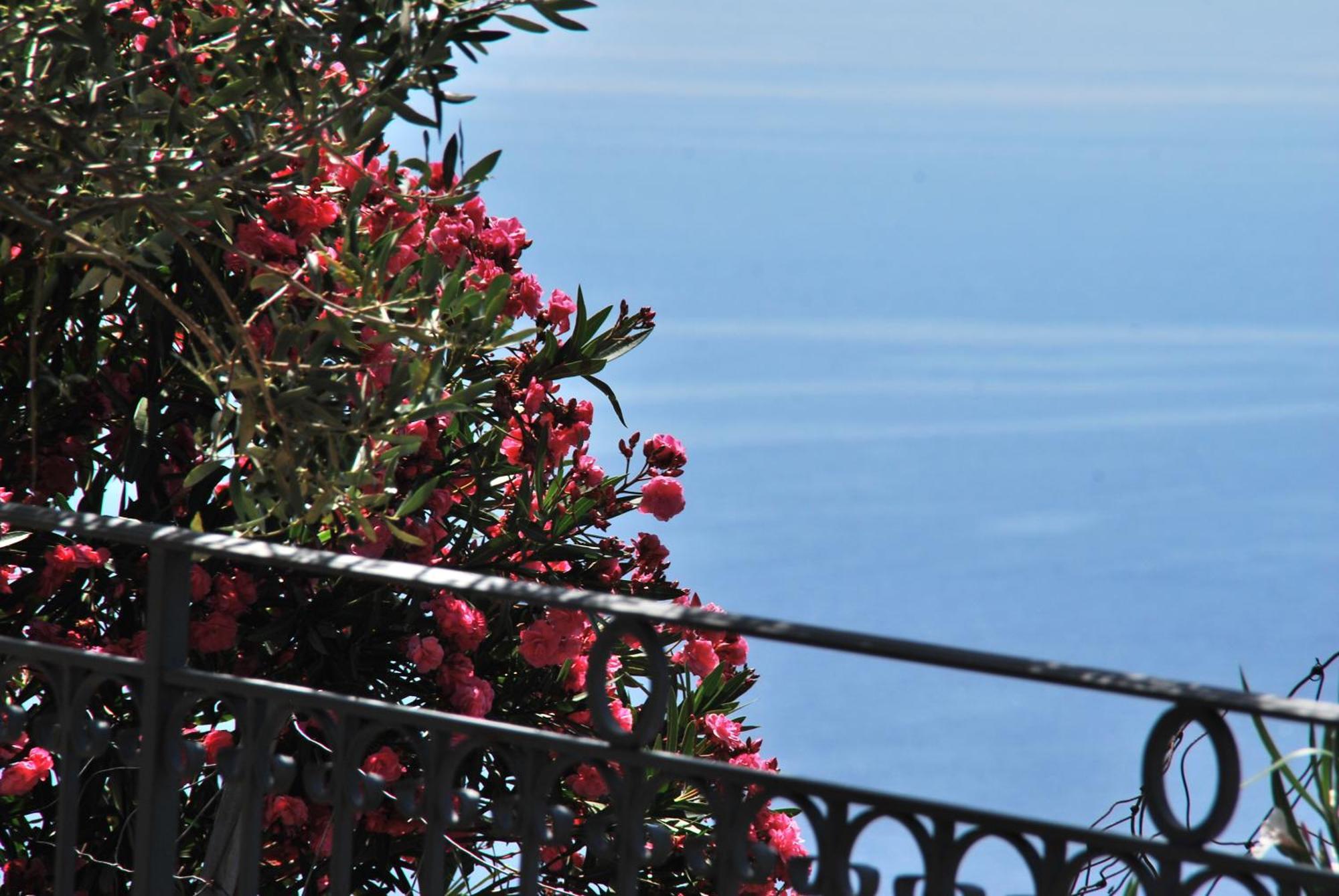 Hotel Turismo Rurale Villa Maria Caterina กาลาโกโนเน ภายนอก รูปภาพ