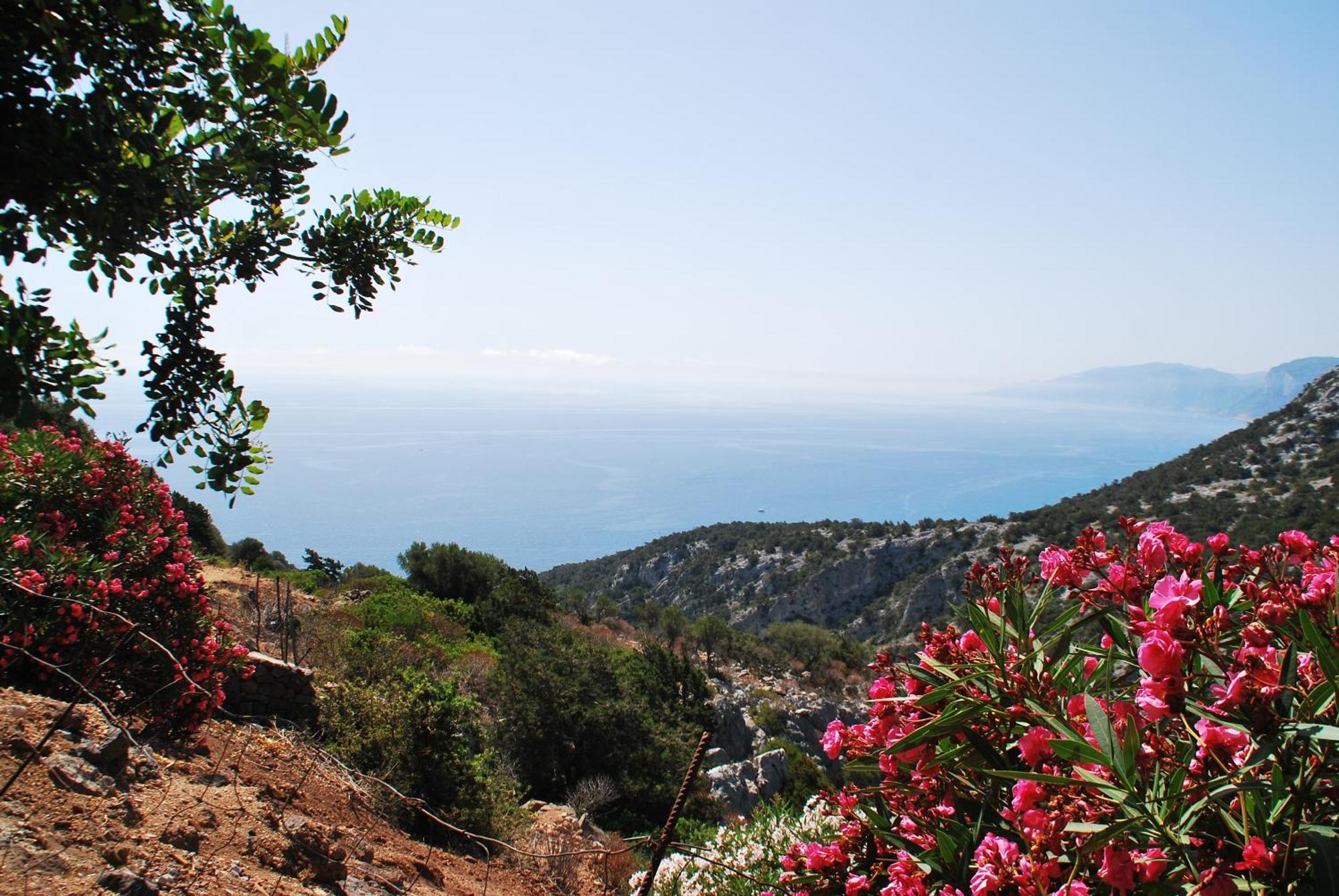Hotel Turismo Rurale Villa Maria Caterina กาลาโกโนเน ภายนอก รูปภาพ